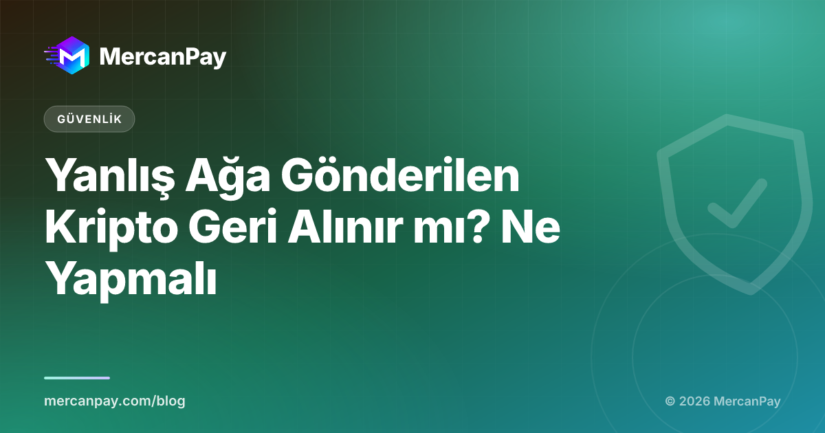 Yanlış Ağa Gönderilen Kripto Geri Alınır mı? Ne Yapmalı
